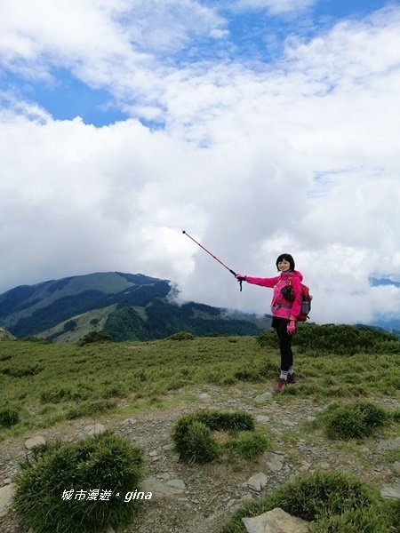 【南投仁愛】箭竹草原全視野~合歡山群最高峰。 No34百岳~