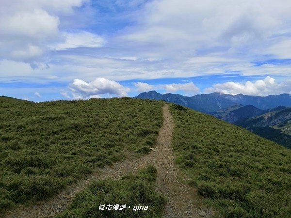 【南投仁愛】箭竹草原全視野~合歡山群最高峰。 No34百岳~