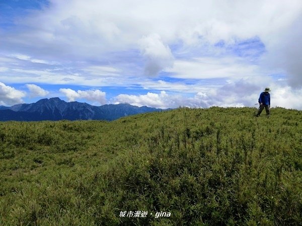 【南投仁愛】箭竹草原全視野~合歡山群最高峰。 No34百岳~