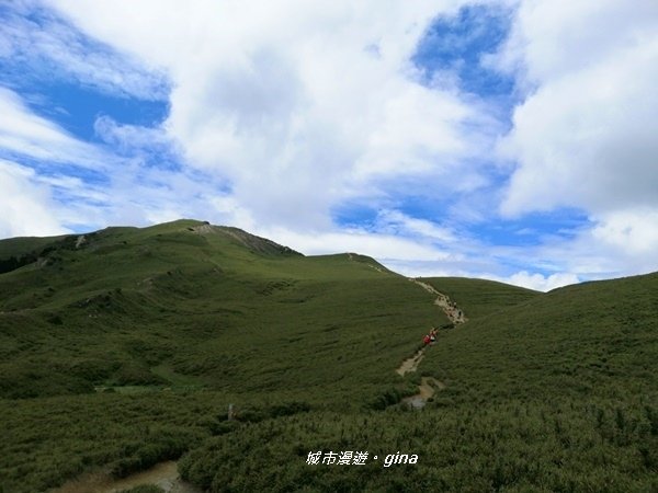 【南投仁愛】箭竹草原全視野~合歡山群最高峰。 No34百岳~