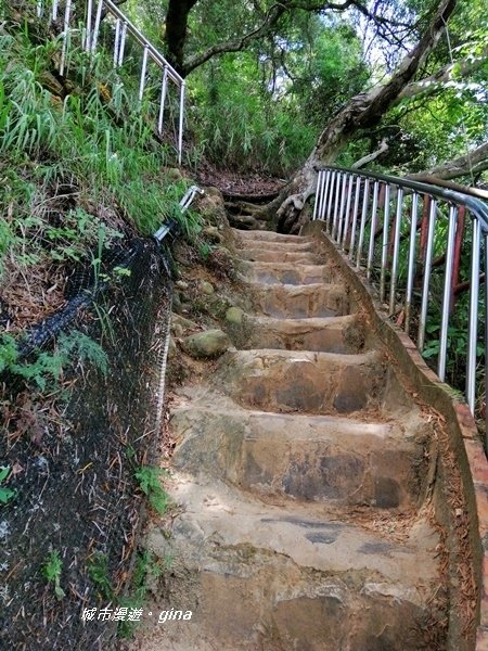 【彰化田中】蓊鬱山林賞景趣。 田中森林步道
