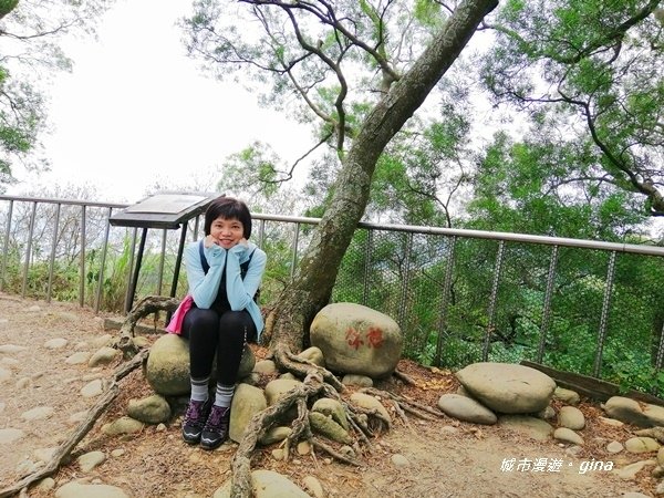 【彰化田中】蓊鬱山林賞景趣。 田中森林步道