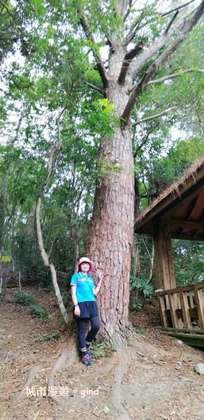 【台中和平】清悠賞景。 德芙蘭生態步道