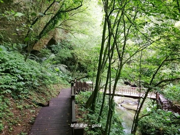 【新竹峨眉】小而美的悠閒步道。 獅頭山風景區~水濂橋步道