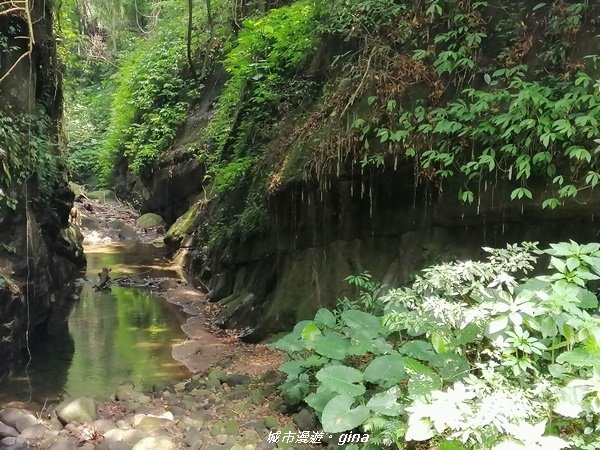 【新竹峨眉】梵音繚繞。 獅頭山風景區~水濂洞步道