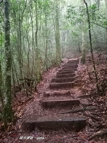 【台中和平】險峻危崖挑戰你的膽量。 鳶嘴山步道