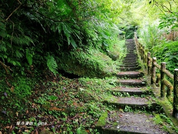 【新北石碇】清悠山林。 No17小百岳二格山678M