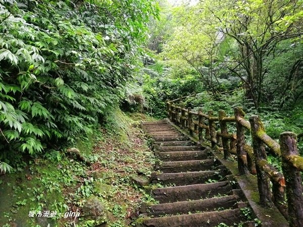 【新北石碇】清悠山林。 No17小百岳二格山678M