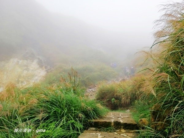 【台北北投】台北市第一高峰。 No2小百岳七星山1120M