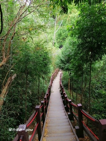 【台中潭子】蒼鬱森林芬多精。 聚興山新田登山步道