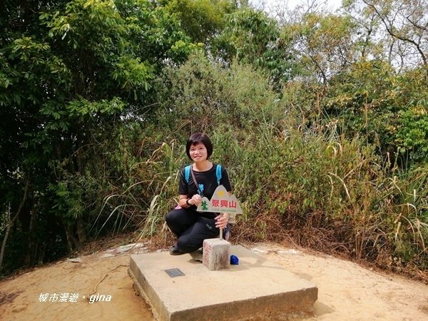 【台中潭子】蒼鬱森林芬多精。 聚興山新田登山步道