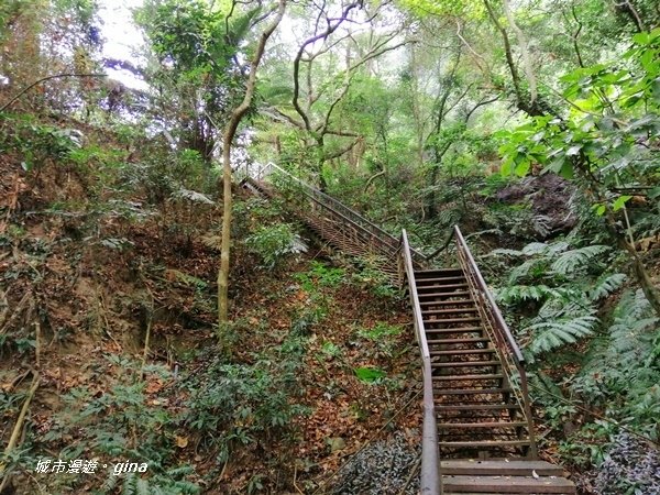 【彰化二水】山林美境尋寶石。 坑內坑森林步道