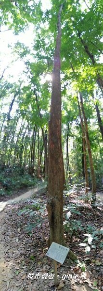 IMG_20201121_123630.jpg