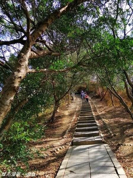 【台中大肚】風和日麗健行趣。 大肚萬里長城登山步道