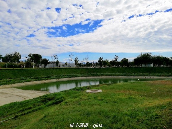 【台中北屯】城市綠肺之需要腳勤。 台中中央公園