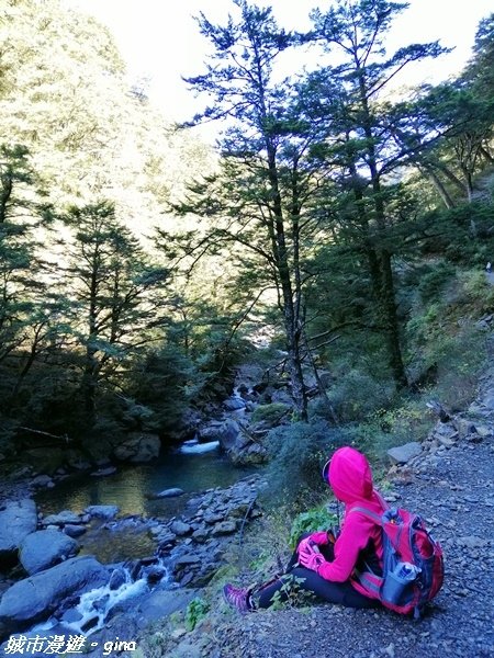 IMG_20201226_120907.jpg