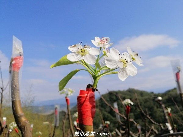 【台中后里】適合賞景健身的親子型步道。 鳳凰山觀音山步道