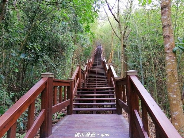 【台中后里】適合賞景健身的親子型步道。 鳳凰山觀音山步道