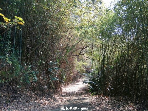 【台中后里】適合賞景健身的親子型步道。 鳳凰山觀音山步道