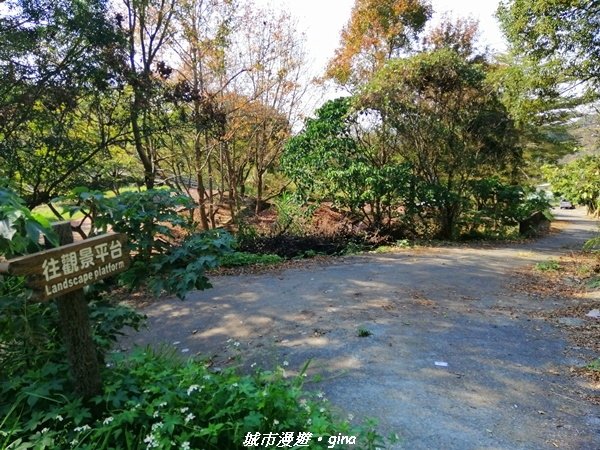 【台中后里】適合賞景健身的親子型步道。 鳳凰山觀音山步道
