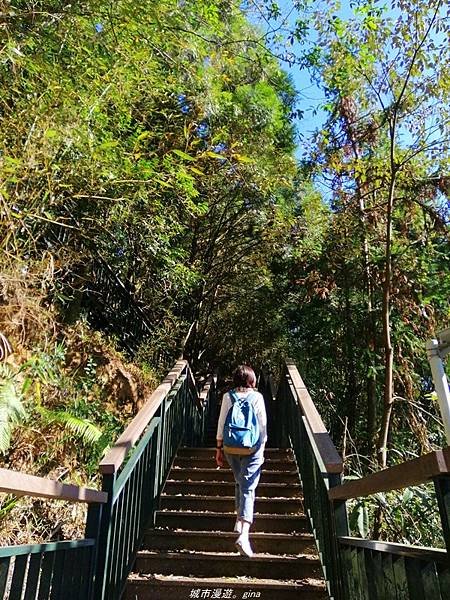 【南投魚池】飽覽層疊山巒賞心悅目。 金龍山步道