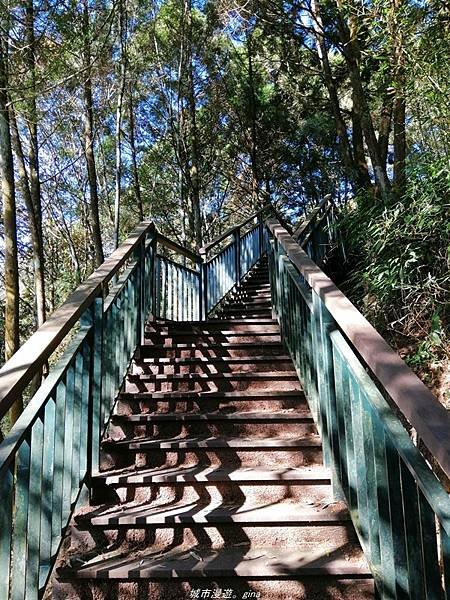 【南投魚池】飽覽層疊山巒賞心悅目。 金龍山步道