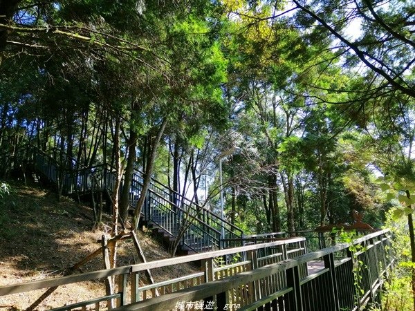 【南投魚池】飽覽層疊山巒賞心悅目。 金龍山步道