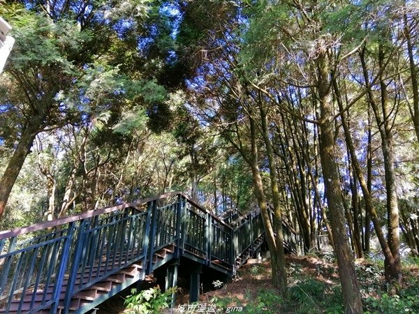 【南投魚池】飽覽層疊山巒賞心悅目。 金龍山步道