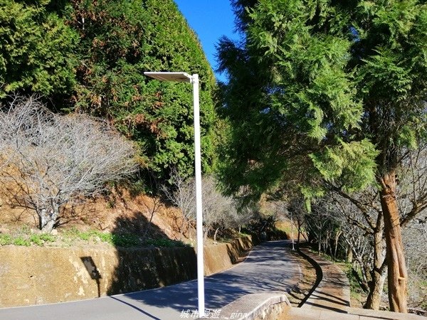 【南投魚池】飽覽層疊山巒賞心悅目。 金龍山步道