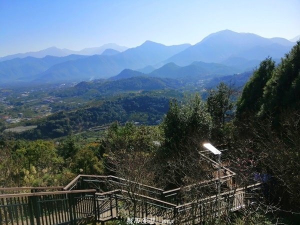 【南投魚池】飽覽層疊山巒賞心悅目。 金龍山步道