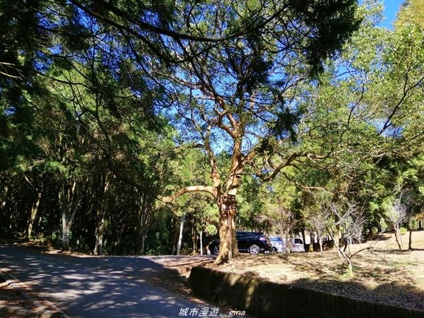 【南投魚池】飽覽層疊山巒賞心悅目。 金龍山步道