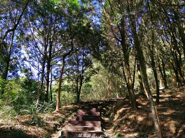 【南投魚池】飽覽層疊山巒賞心悅目。 金龍山步道