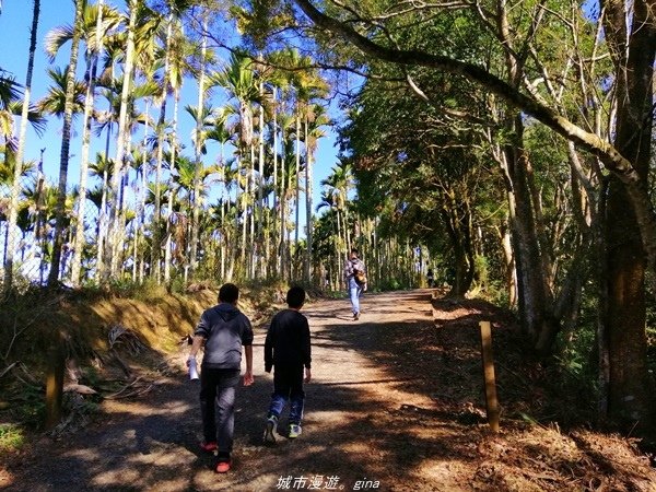 【南投魚池】飽覽層疊山巒賞心悅目。 金龍山步道