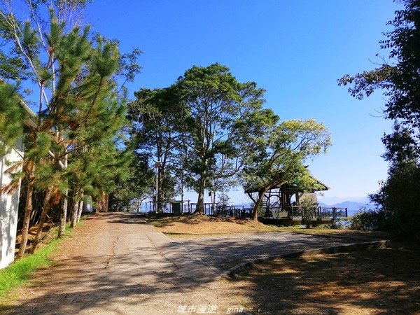 【南投魚池】飽覽層疊山巒賞心悅目。 金龍山步道