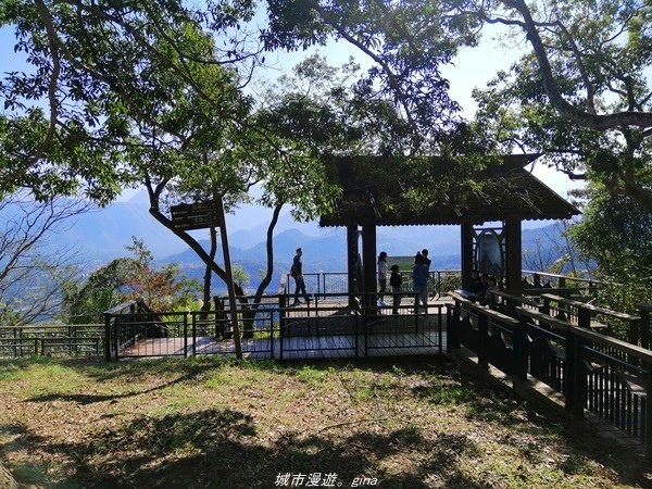 【南投魚池】飽覽層疊山巒賞心悅目。 金龍山步道