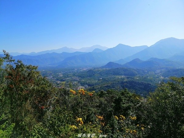 【南投魚池】飽覽層疊山巒賞心悅目。 金龍山步道