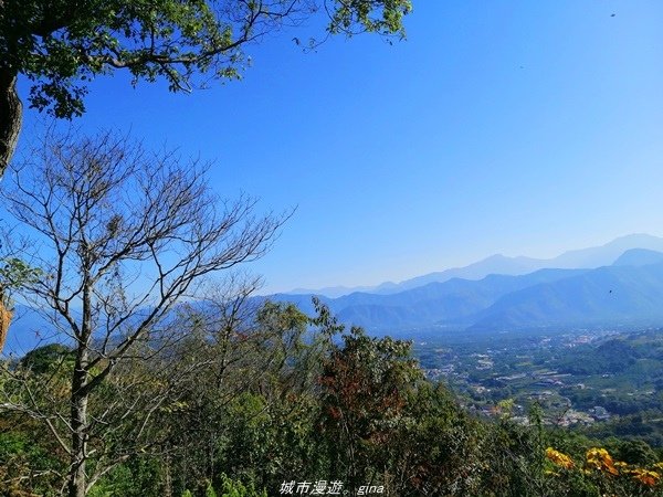 【南投魚池】飽覽層疊山巒賞心悅目。 金龍山步道