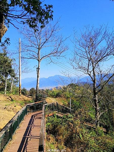 【南投魚池】飽覽層疊山巒賞心悅目。 金龍山步道