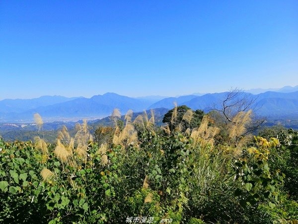 【南投魚池】飽覽層疊山巒賞心悅目。 金龍山步道