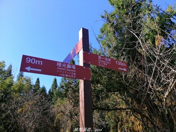 【南投魚池】飽覽層疊山巒賞心悅目。 金龍山步道