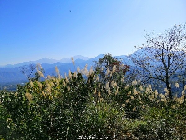 【南投魚池】飽覽層疊山巒賞心悅目。 金龍山步道