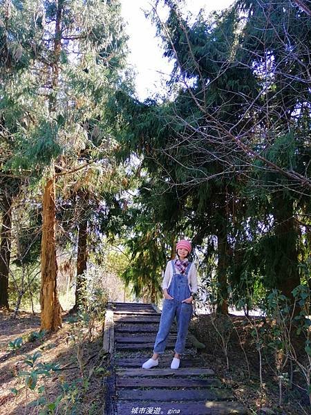 【南投魚池】飽覽層疊山巒賞心悅目。 金龍山步道