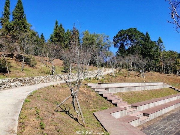 【南投魚池】飽覽層疊山巒賞心悅目。 金龍山步道