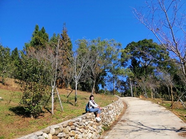 【南投魚池】飽覽層疊山巒賞心悅目。 金龍山步道