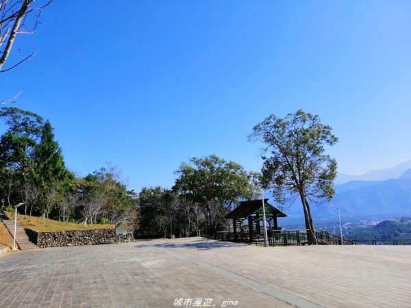 【南投魚池】飽覽層疊山巒賞心悅目。 金龍山步道