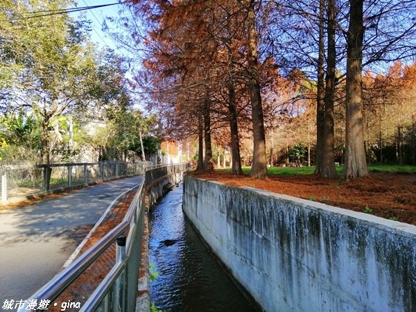 【台中石岡】繽紛山行路太忘憂。 五福臨門休閒登山步道x九房里