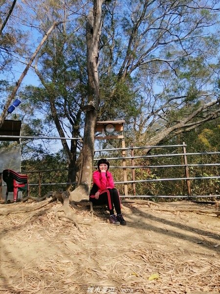 【台中豐原】悠靜的秘境步道。 三崁頂健康步道(北坑步道)