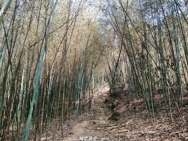 【台中豐原】悠靜的秘境步道。 三崁頂健康步道(北坑步道)