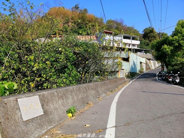 【台中豐原】悠靜的秘境步道。 三崁頂健康步道(北坑步道)