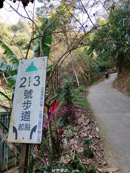 【台中豐原】悠靜的秘境步道。 三崁頂健康步道(北坑步道)